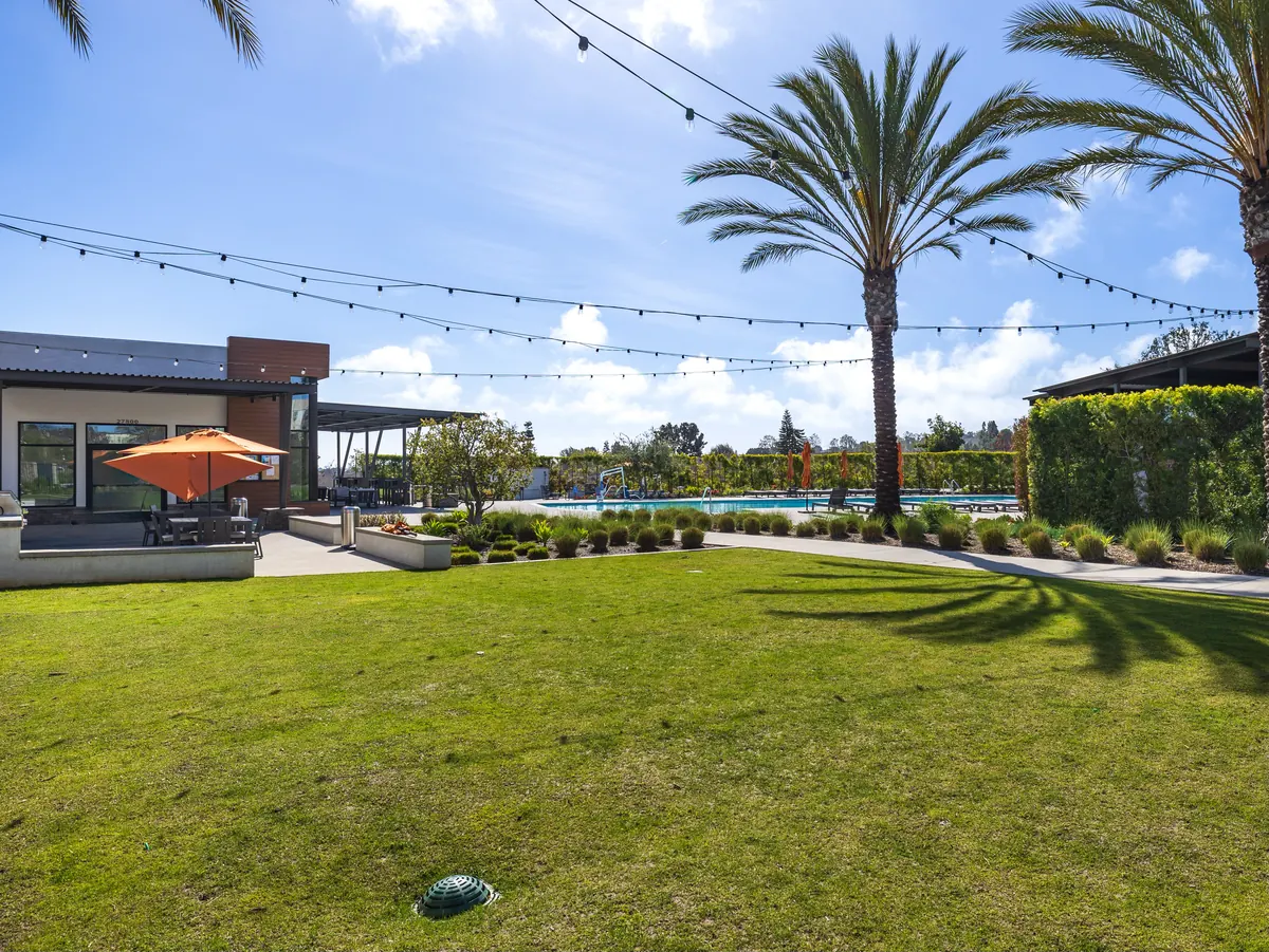 An open grassy lawn lined with palm trees at Ponte Vista in San Pedro