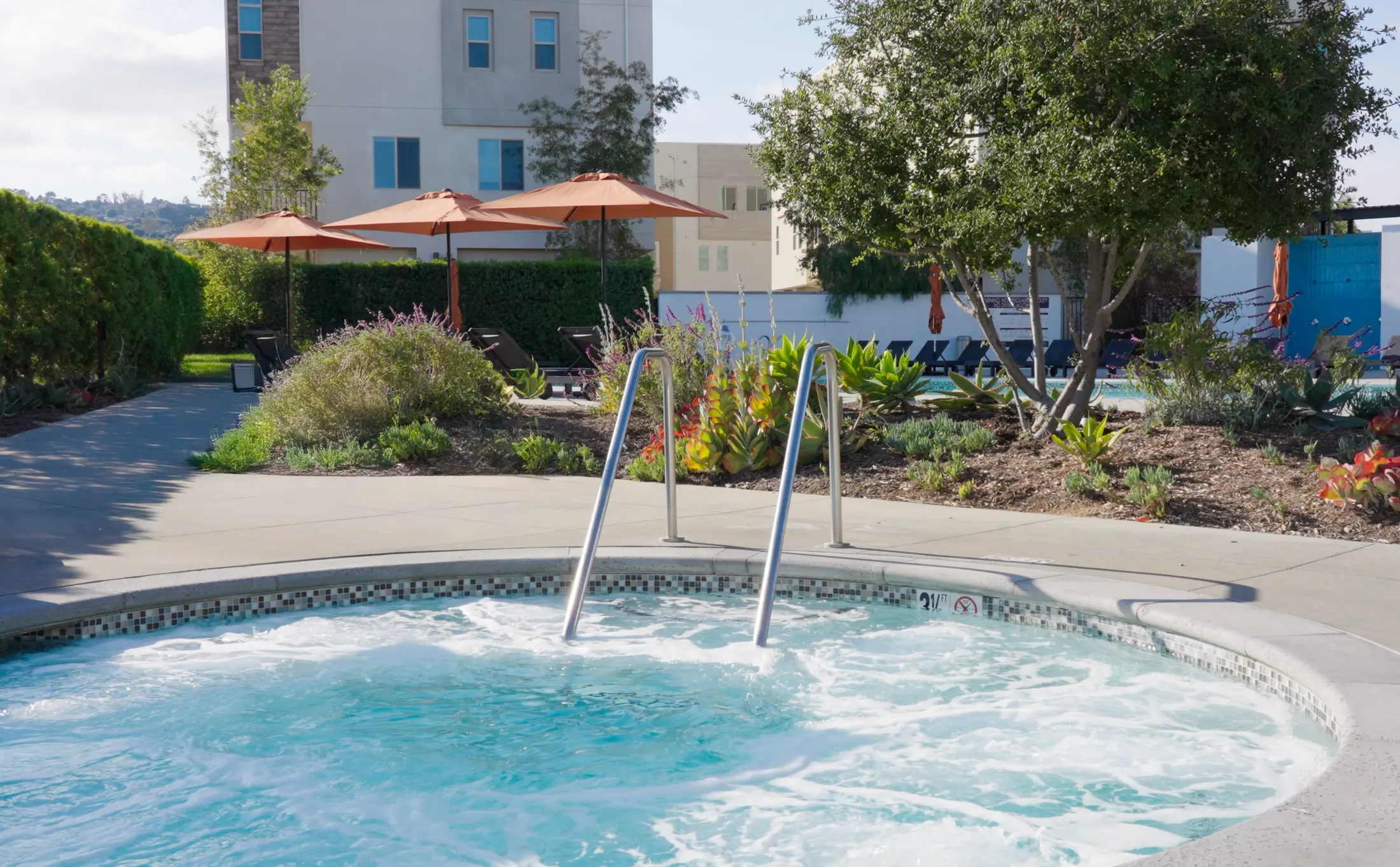 The spa and water feature on the landscaped pool deck at Ponte Vista