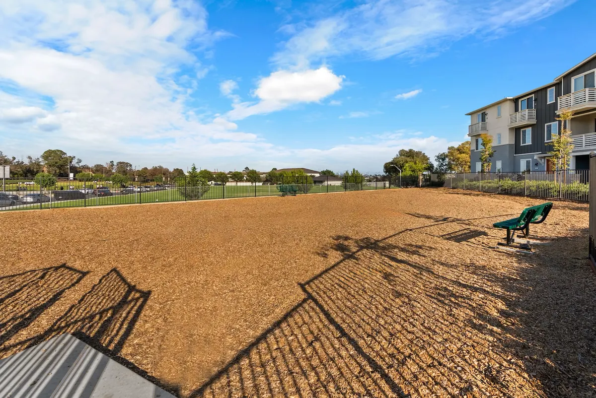 The fenced dog park with open gravel space and landscaping at Ponte Vista in San Pedro